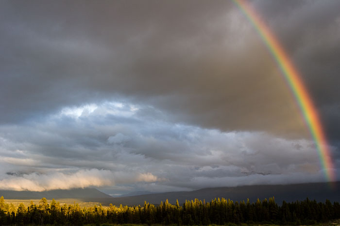 Alaska Interior - Alcan and other Alaska Highways