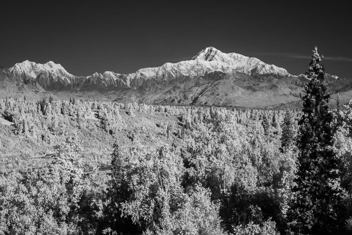 Denali National Park and State Park