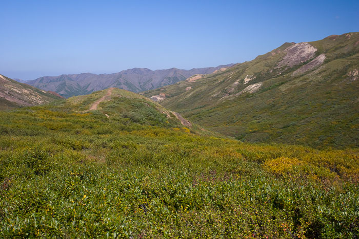 Denali National Park and State Park