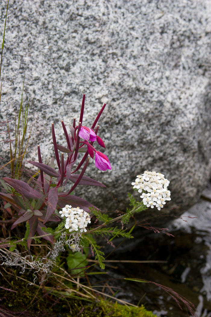 Juneau Alaska Area