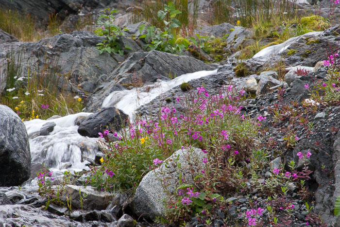 Juneau Alaska Area