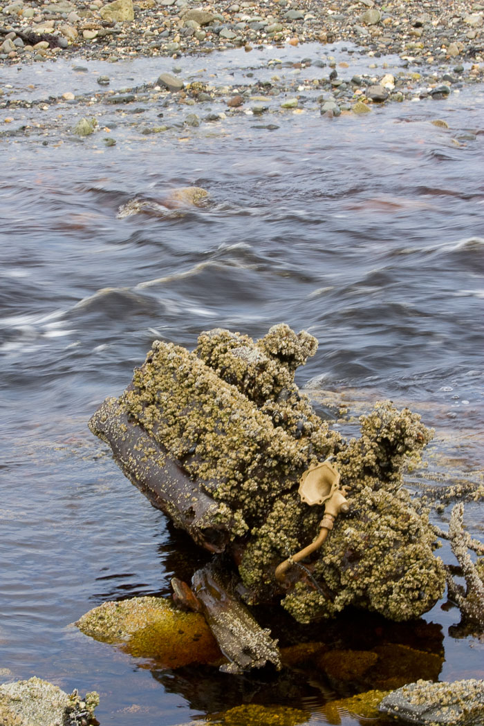 Coastal Southeast Alaska - Petersburg area