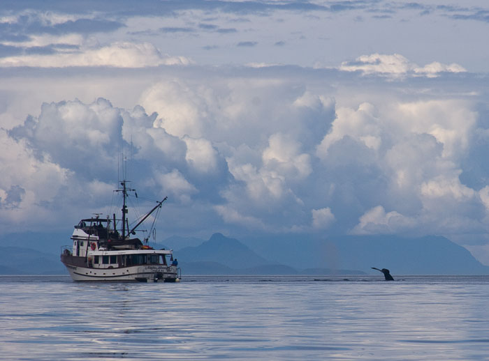 Coastal Southeast Alaska - Petersburg area