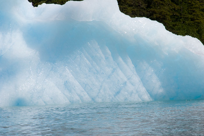 Coastal Southeast Alaska - Petersburg area