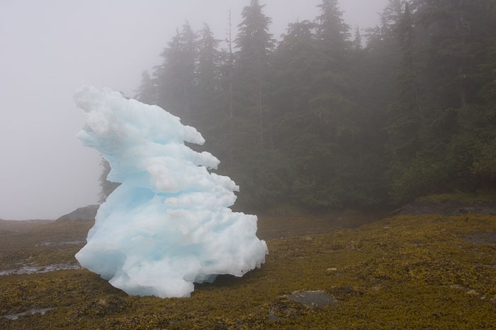 Coastal Southeast Alaska - Petersburg area