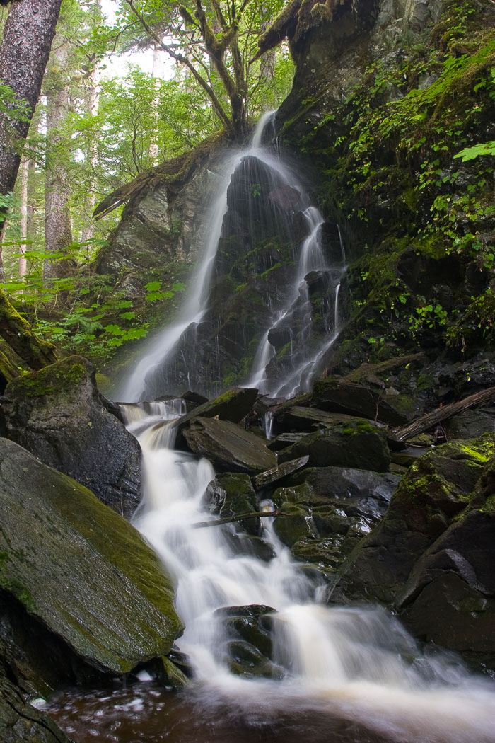 Coastal Southeast Alaska - Petersburg area