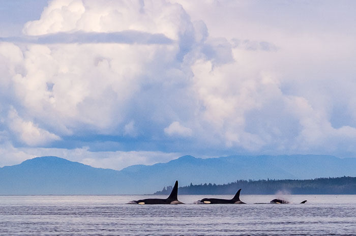 Alaskan National Parks