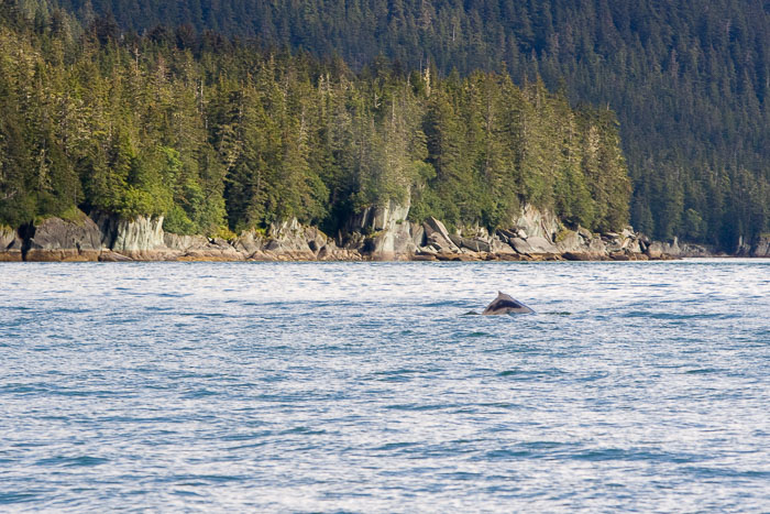 Tracy Arm - Ford's Terror Wilderness