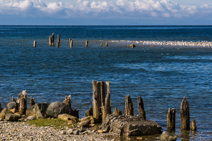 Coastal British Columbia