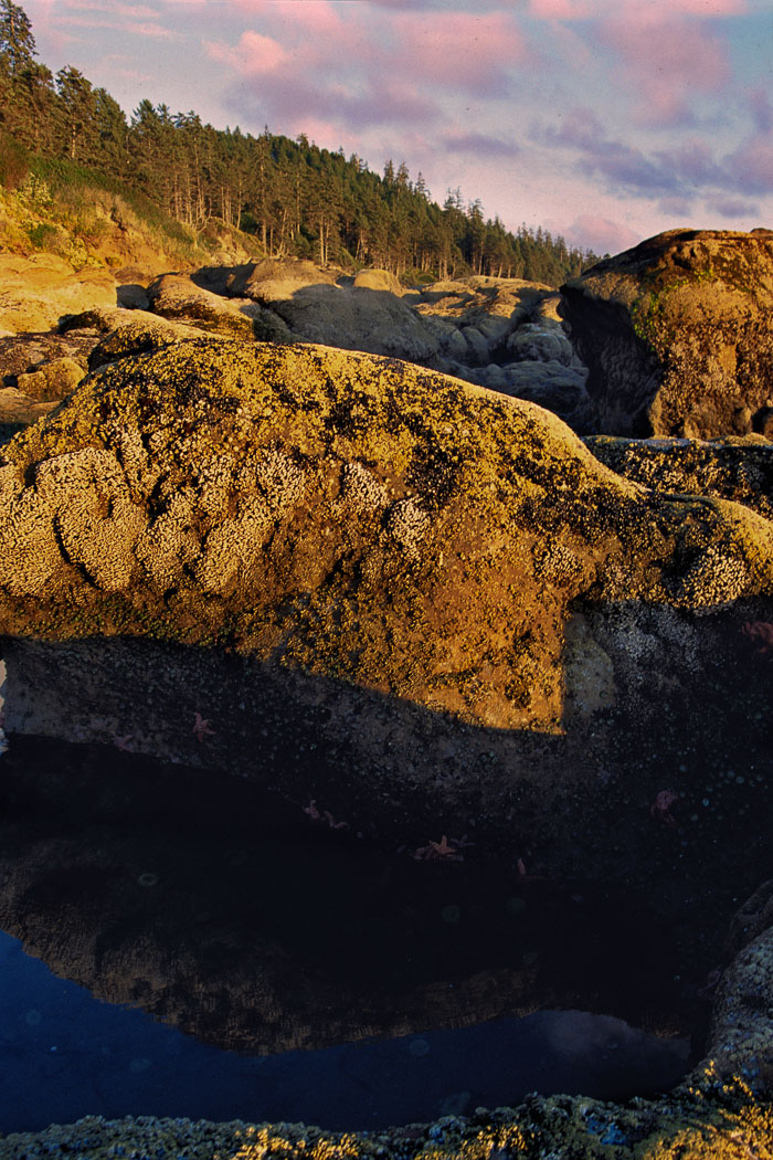 Coastal British Columbia