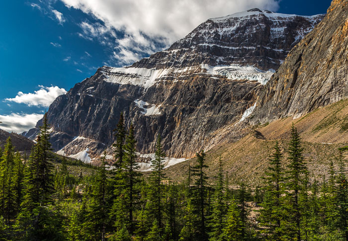 Jasper Mt. Edith Cavell Area Jasper Mt. Edith Cavell Area