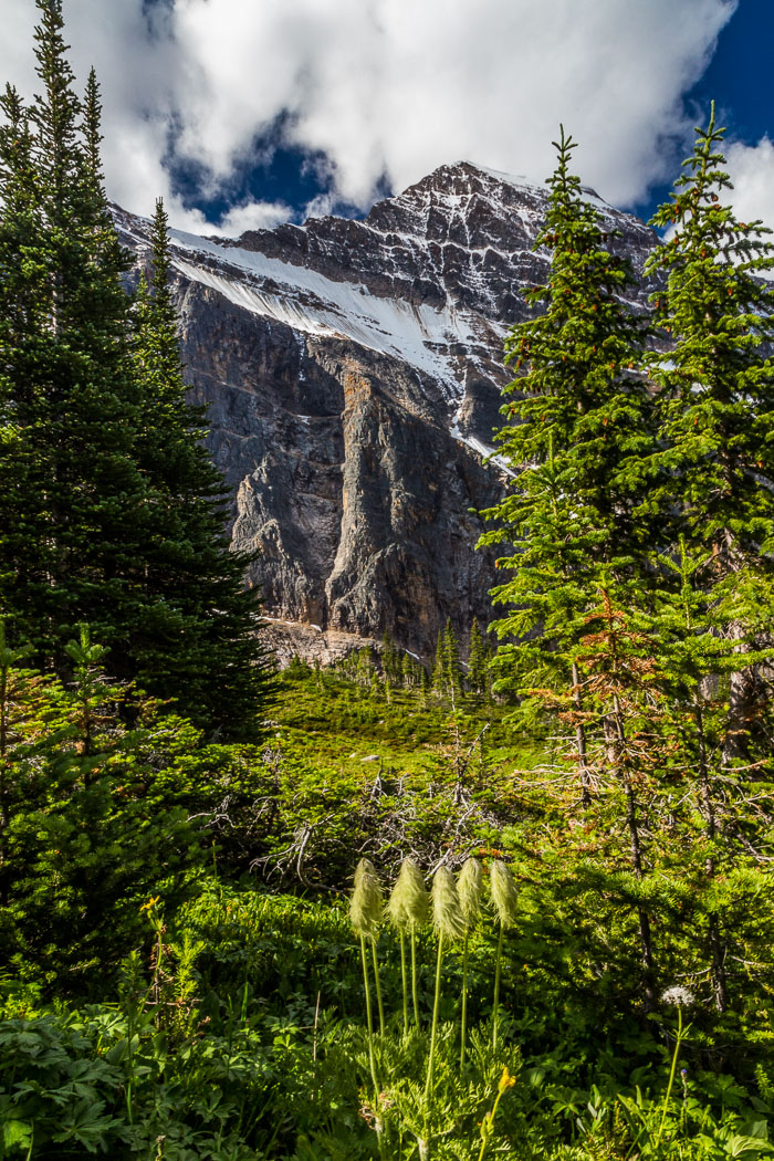Jasper Mt. Edith Cavell Area