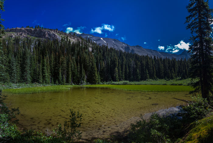Columbia Icefields Area