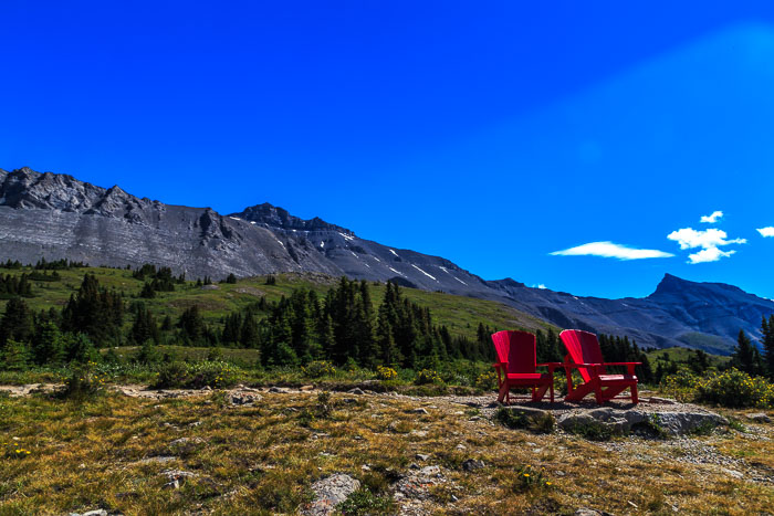 Columbia Icefields Area Columbia Icefields Area