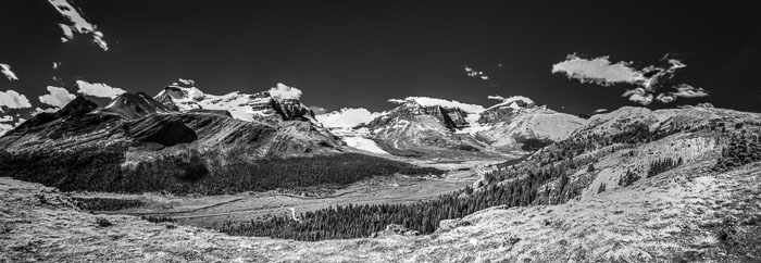 Columbia Icefields Area