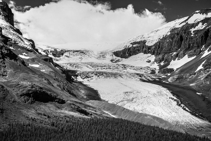Columbia Icefields Area