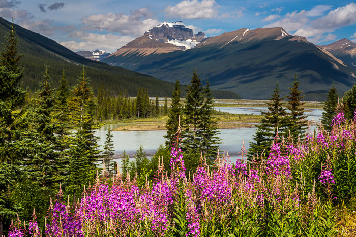 Along the Icefields Parkway - Banff Section