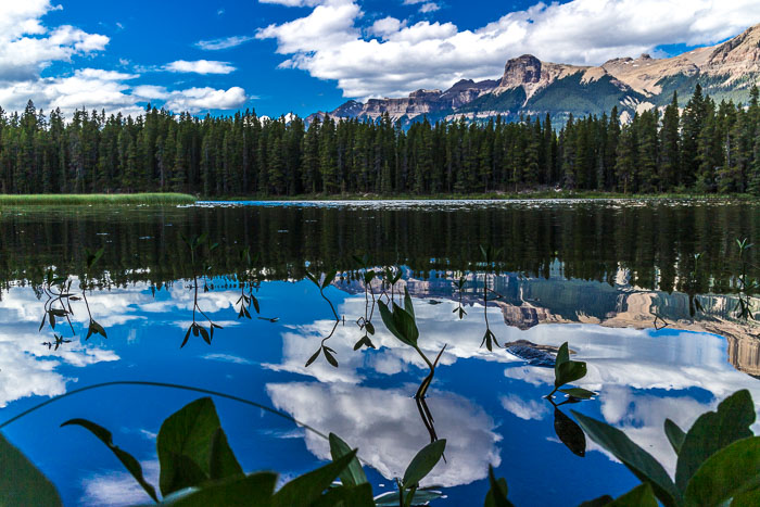 Along the Icefields Parkway - Banff Section