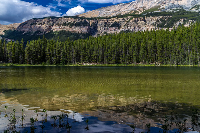 Along the Icefields Parkway - Banff Section