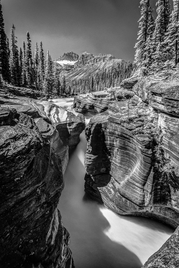 Along the Icefields Parkway - Banff Section Along the Icefields Parkway - Banff Section