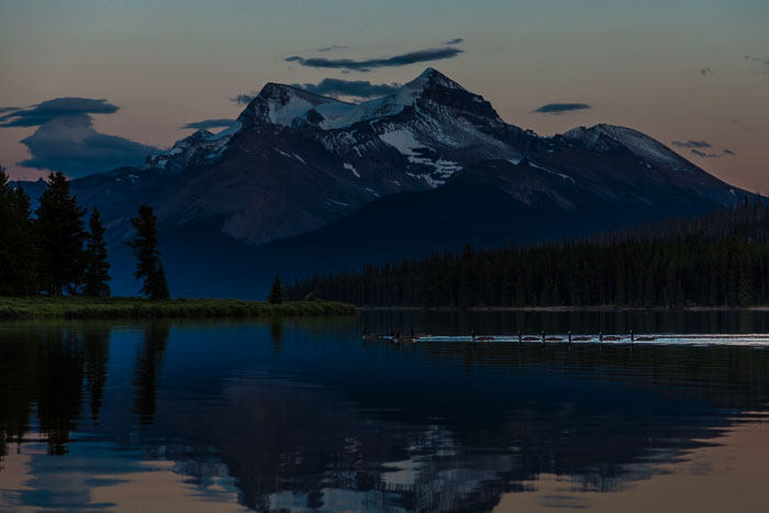 Maligne Lake Area