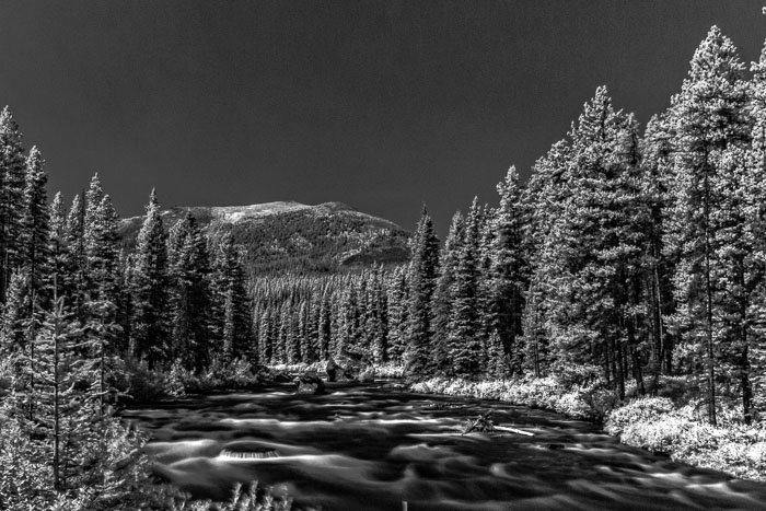 Maligne Lake Area
