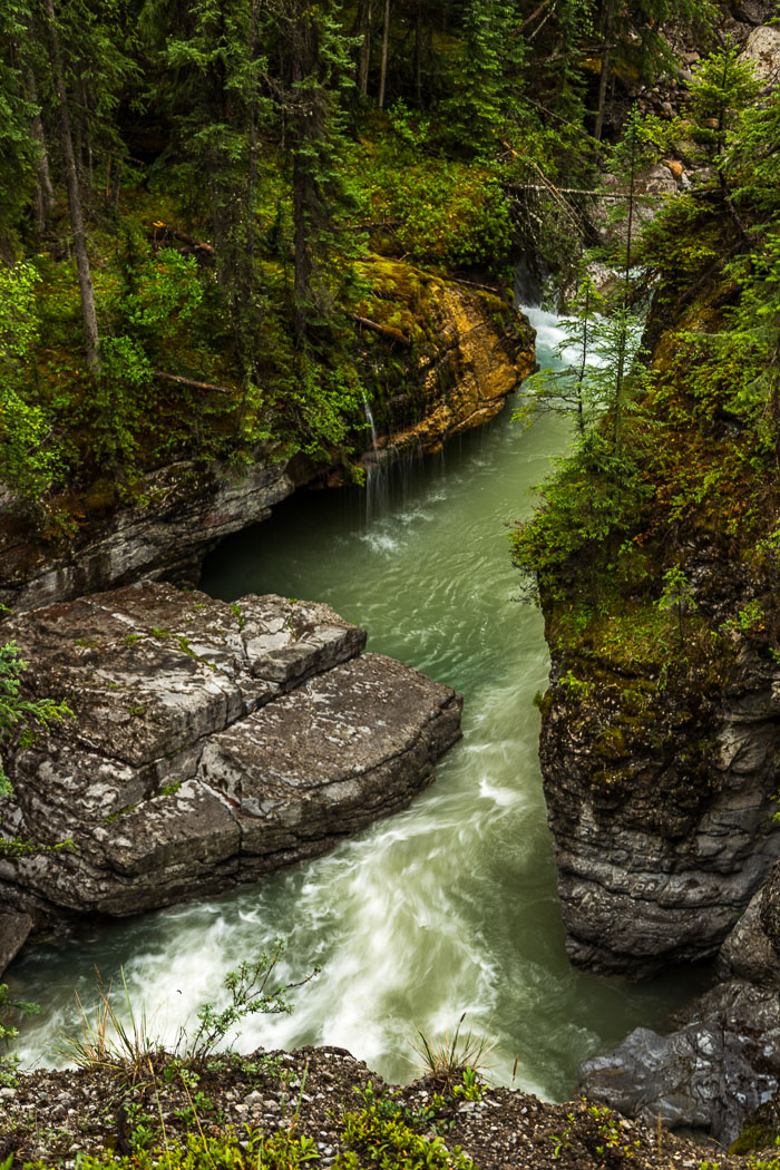 Maligne Canyon