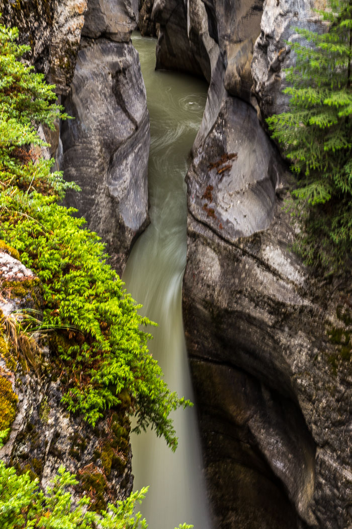 Maligne Canyon