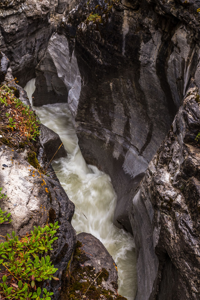 Maligne Canyon