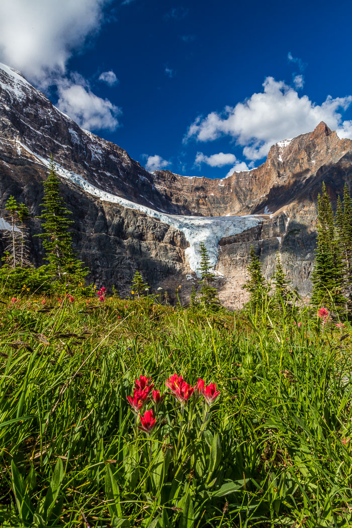 Canadian National and Provincial Parks