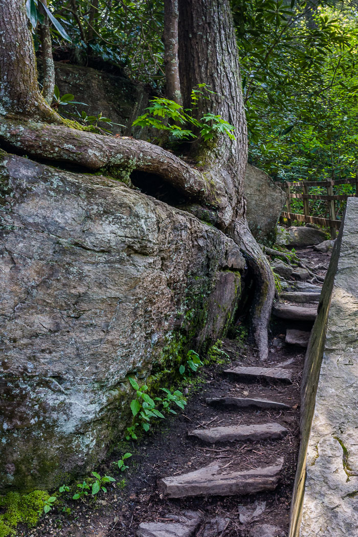 Blue Ridge Parkway