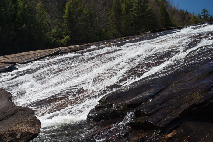 DuPont State Forest