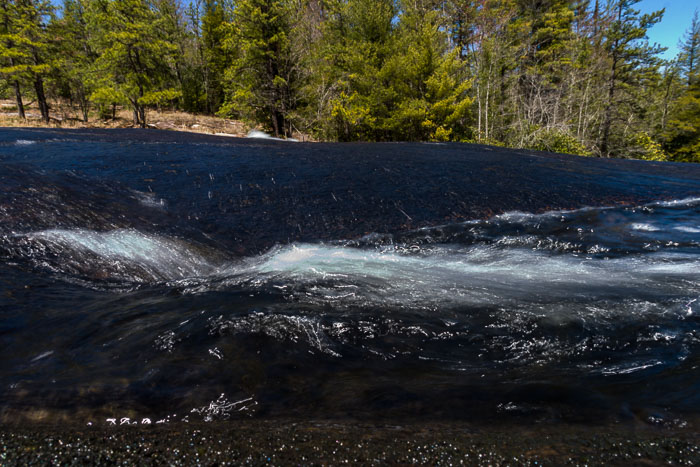 DuPont State Forest