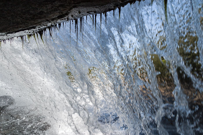 DuPont State Forest