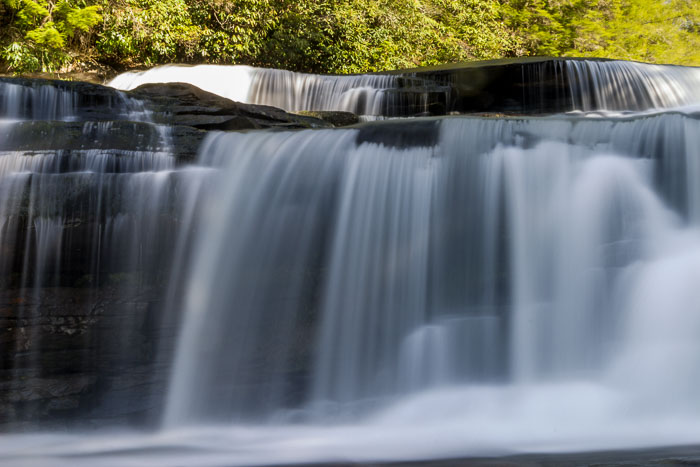DuPont State Forest