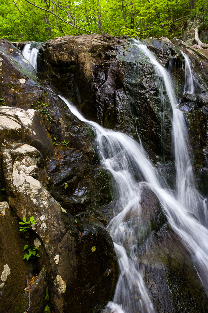 Shenandoah National Park