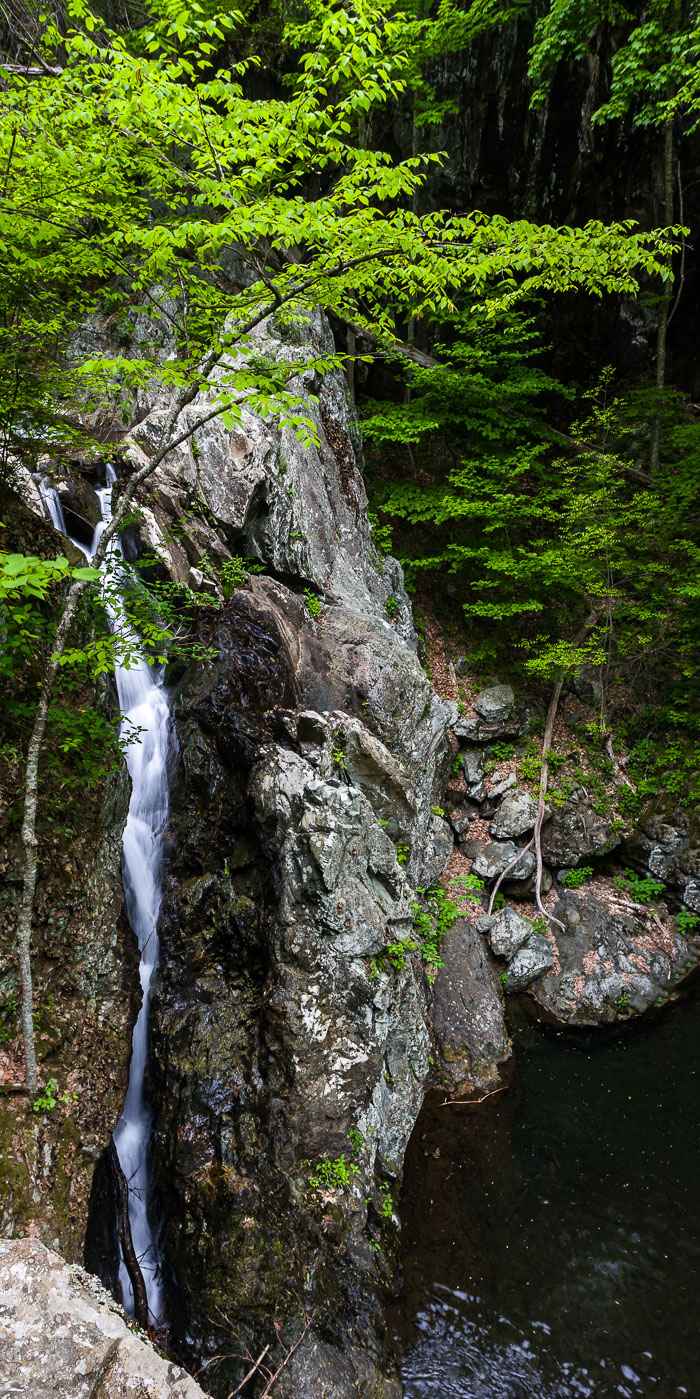Shenandoah National Park