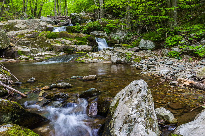 Shenandoah National Park