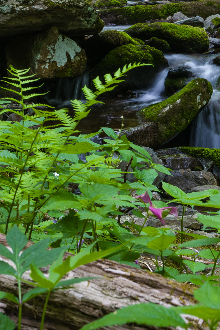 Shenandoah National Park