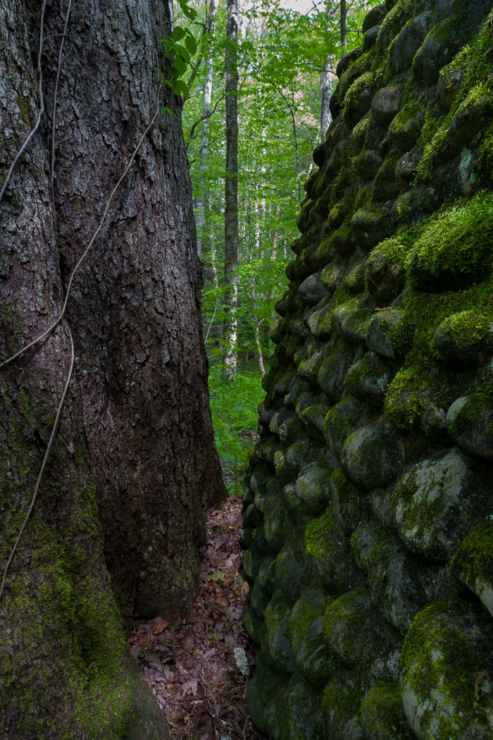 Great Smokey Mountains National Park