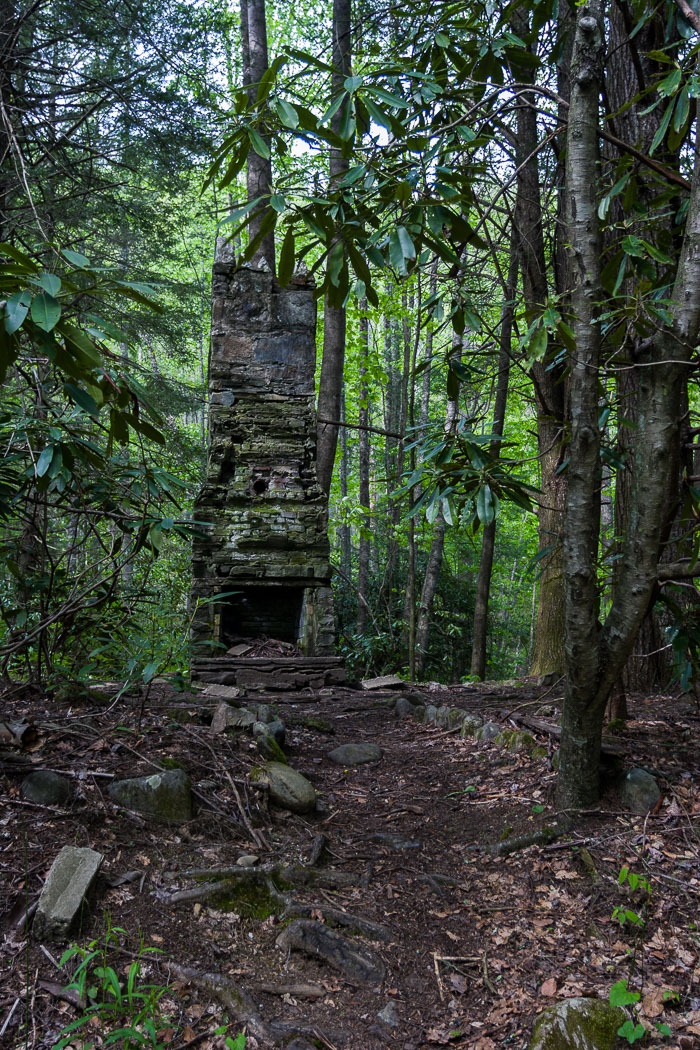 Great Smokey Mountains National Park