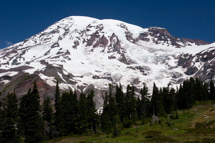 Mt. Rainier National Park