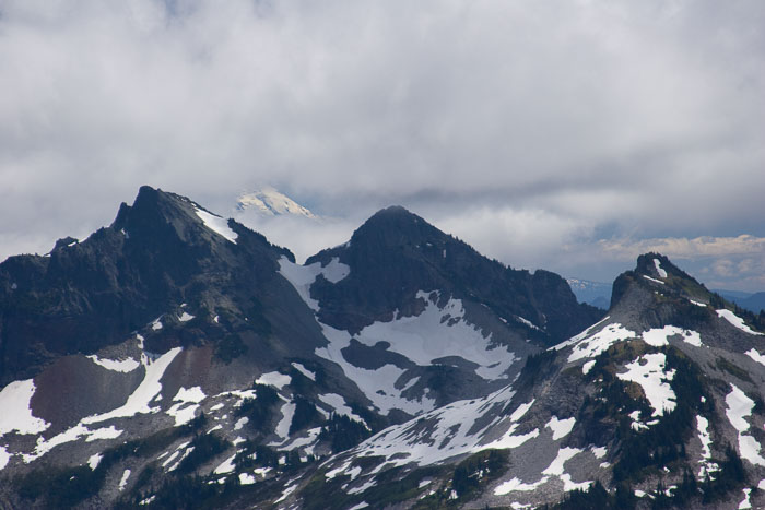 Mt. Rainier National Park