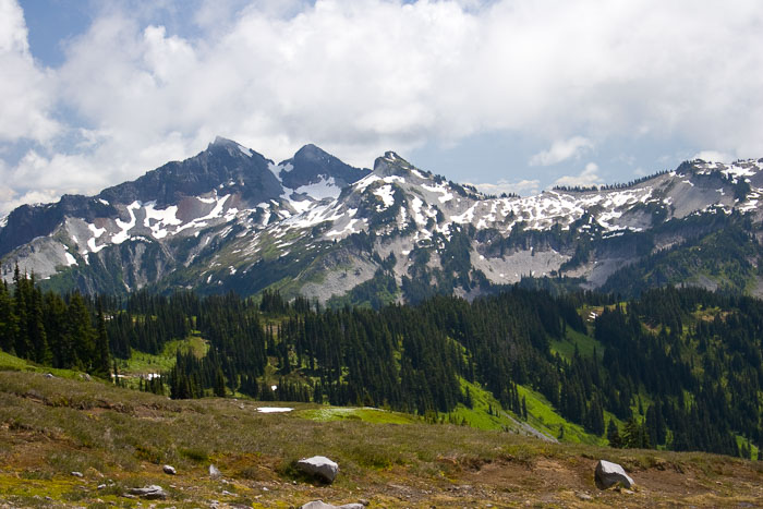 Mt. Rainier National Park