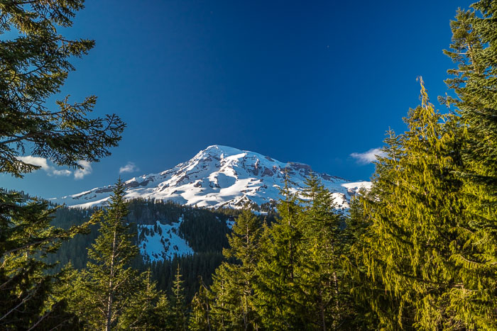 Mt. Rainier National Park