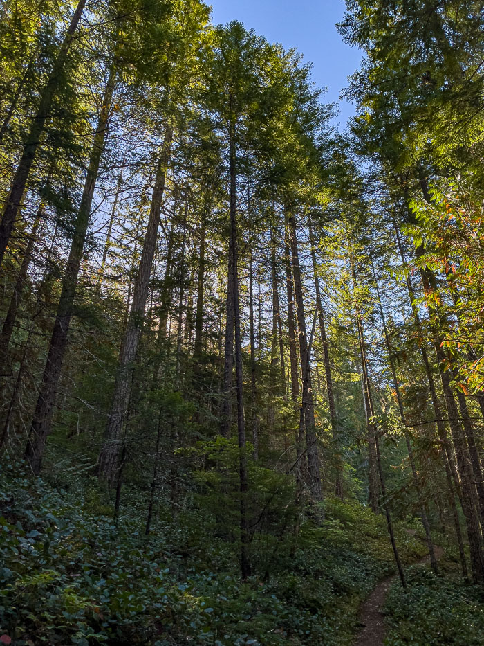 North Cascades National Park Complex