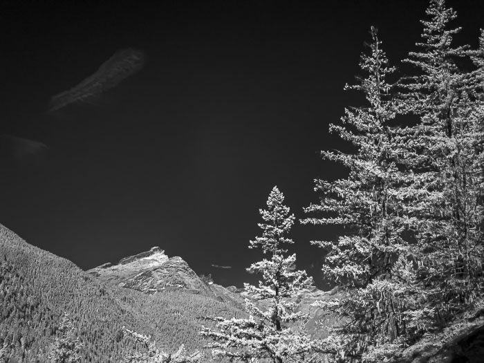 North Cascades National Park Complex