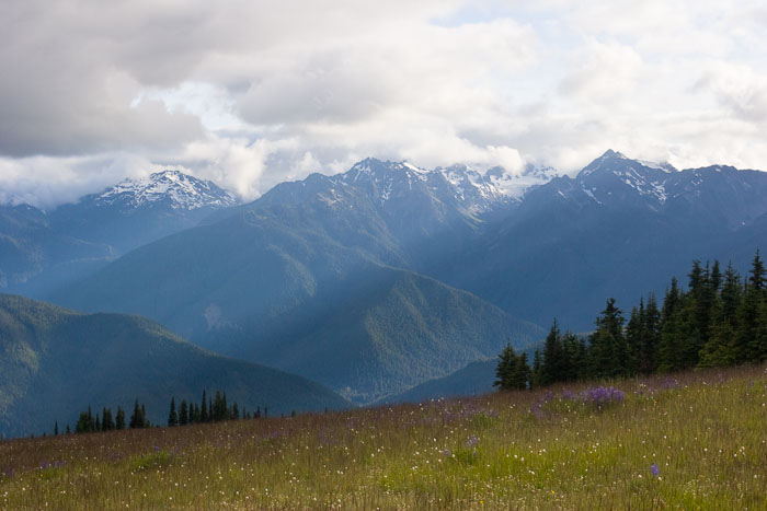 Olympic National Park