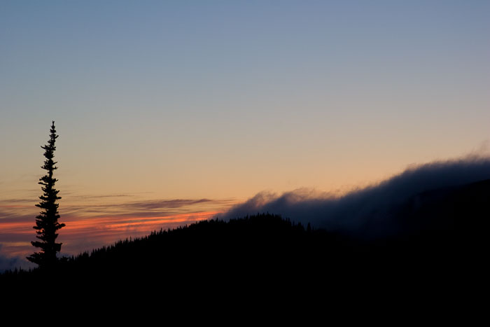 Olympic National Park
