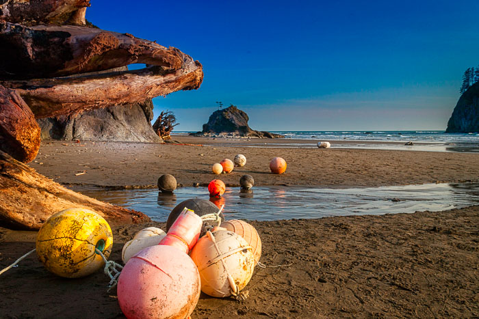 Olympic National Park